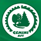 logogemini